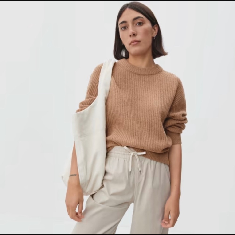 Everlane Alpaca Sweater in Warm Taupe Size Large